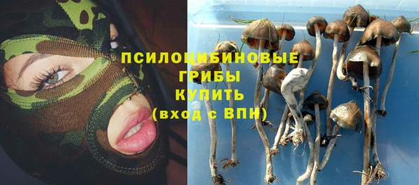 ALPHA PVP Верея