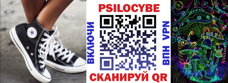 Купить  Николаевск-на-Амуре  Псилоцибиновые грибы Cubensis 